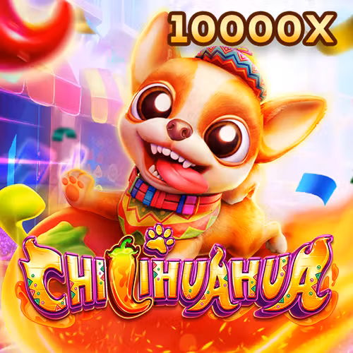 Chihuahua Fa Chai